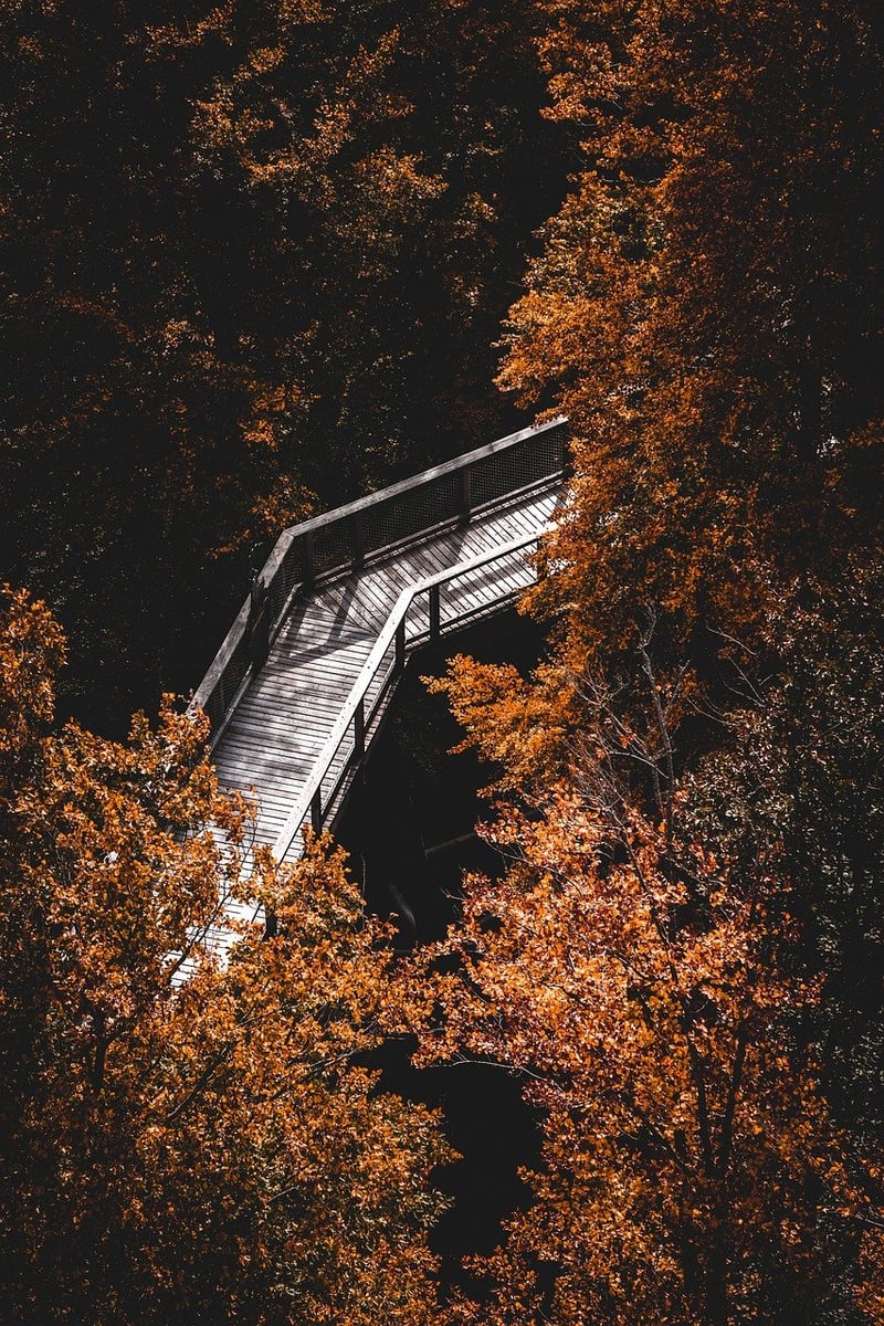 Urban Mindfulness Hikes